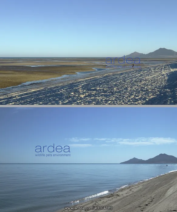  : High and Low Tides