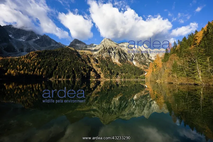 : The high mountains of the Rieserferner Alps : The high mountains of the Rieserferner Alps