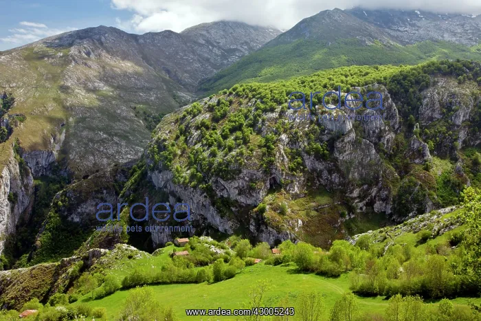 : High pastures and barns (invernales) : High pastures and barns (invernales)
