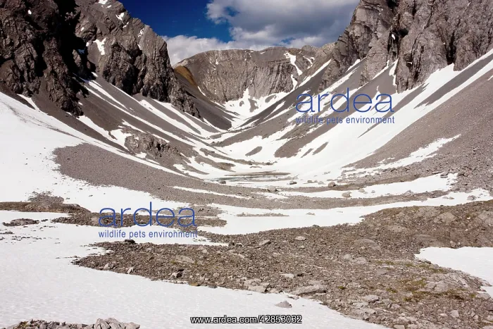 : High Rocky tundra in three lakes valley, above : High Rocky tundra in three lakes valley, above