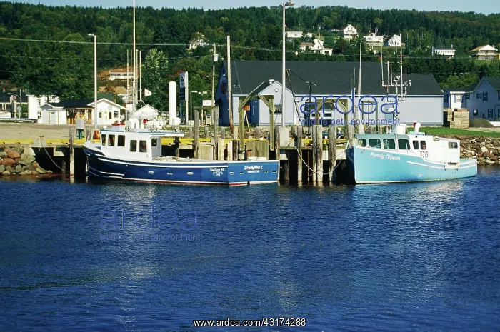 : High Tide, Bay of Fundy : High Tide, Bay of Fundy