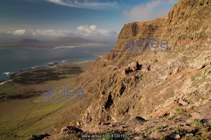 : The high volcanic cliffs of El Risco - with Isla : The high volcanic cliffs of El Risco - with Isla