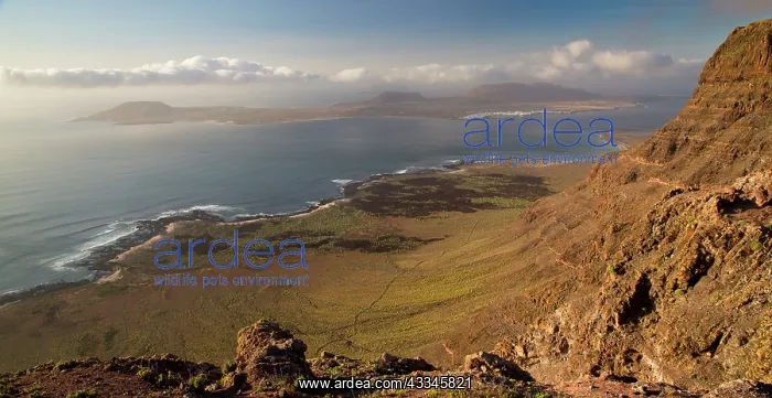 : The high volcanic cliffs of El Risco - with Isla : The high volcanic cliffs of El Risco - with Isla