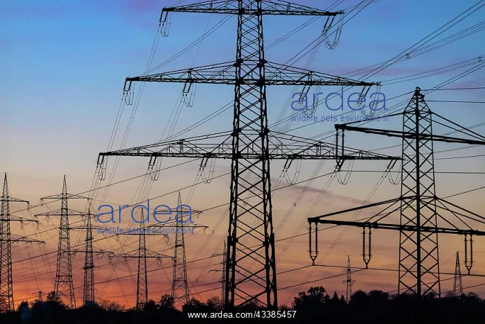 : High-voltage pylon, evening glow, Ludwigsburg am Neckar : High-voltage pylon, evening glow, Ludwigsburg am Neckar