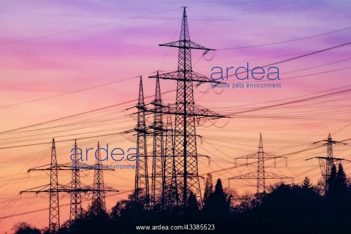 : High-voltage pylon, evening glow, Ludwigsburg am Neckar : High-voltage pylon, evening glow, Ludwigsburg am Neckar