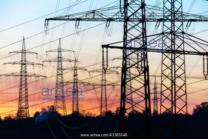 : High-voltage pylon, evening glow, Ludwigsburg am Neckar : High-voltage pylon, evening glow, Ludwigsburg am Neckar