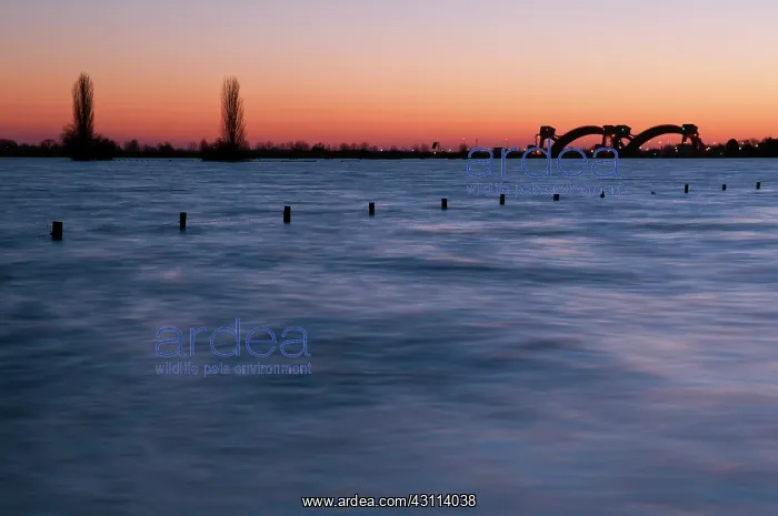 : high water after sunset with the Amerongen dam in the backgr : high water after sunset with the Amerongen dam in the backgr
