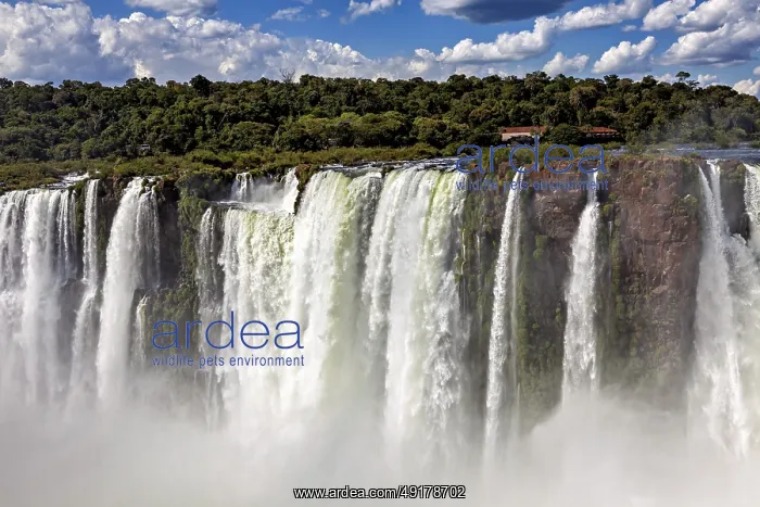 : High waterfalls with rocks, spray and forested background under changing skies : High waterfalls with rocks, spray and forested background under changing skies