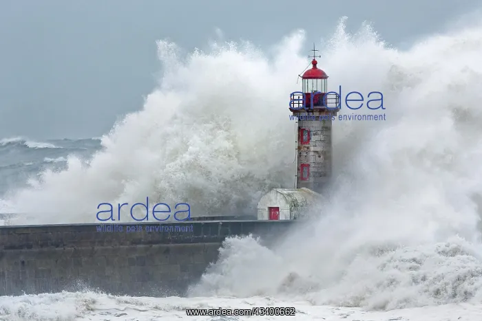 : High waves, splashing spray, lighthouse during storm : High waves, splashing spray, lighthouse during storm