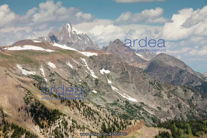 : The highest peaks in Grand Teton National Park : The highest peaks in Grand Teton National Park