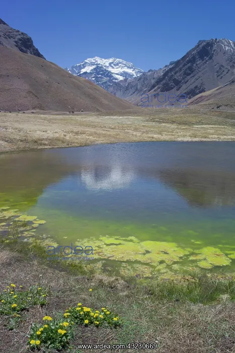 : HIghest point in Americas, Mount Aconcagua : HIghest point in Americas, Mount Aconcagua