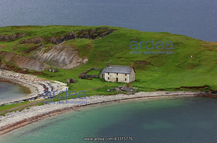 : Highlands, landscape on the northwest coast between : Highlands, landscape on the northwest coast between