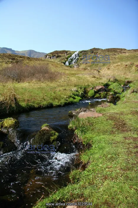 : Highlands, Scotland. Scottish legend says : Highlands, Scotland. Scottish legend says