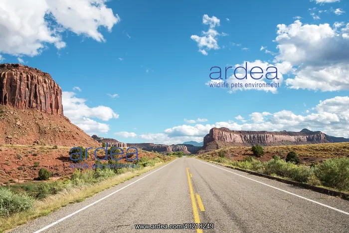 : Highway, Capitol Reef National Park, Utah, USA : Highway, Capitol Reef National Park, Utah, USA