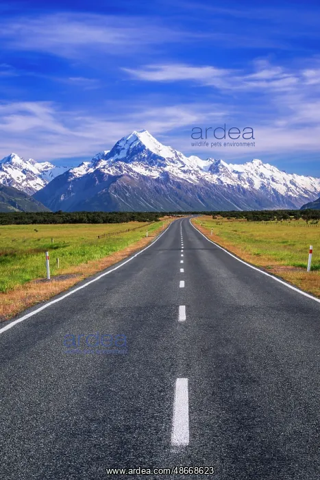 : Highway leading to Mount Cook, Aoraki Mount Cook National : Highway leading to Mount Cook, Aoraki Mount Cook National