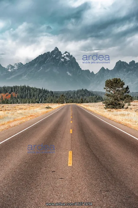 : Highway in front of rugged mountains with cloudy : Highway in front of rugged mountains with cloudy