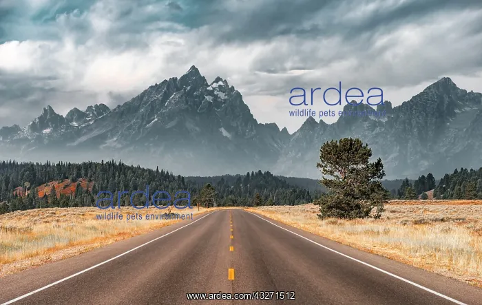 : Highway in front of rugged mountains with cloudy : Highway in front of rugged mountains with cloudy