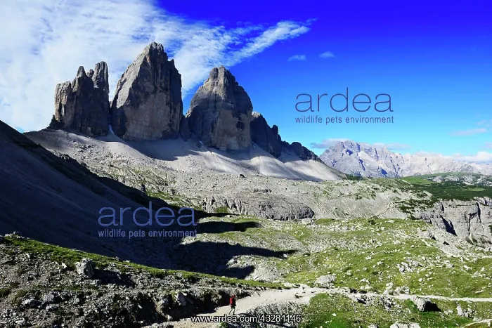 : Hiker below the alpine hut in front of the northern : Hiker below the alpine hut in front of the northern