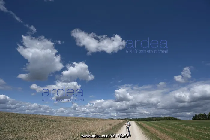 : Hiker on a field path in Franconian landscape : Hiker on a field path in Franconian landscape
