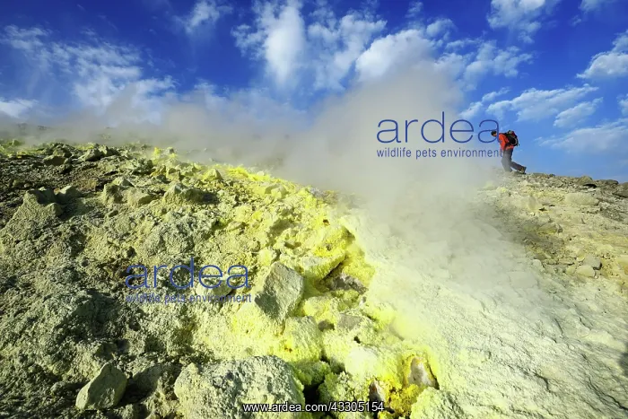 : Hiker on the Gran Cratere walks through sulphur : Hiker on the Gran Cratere walks through sulphur