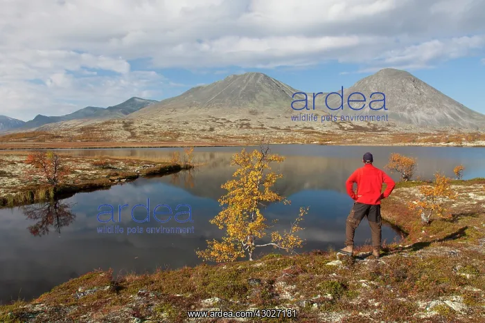 : Hiker at a lake in the valley Doraldalen Rondane : Hiker at a lake in the valley Doraldalen Rondane