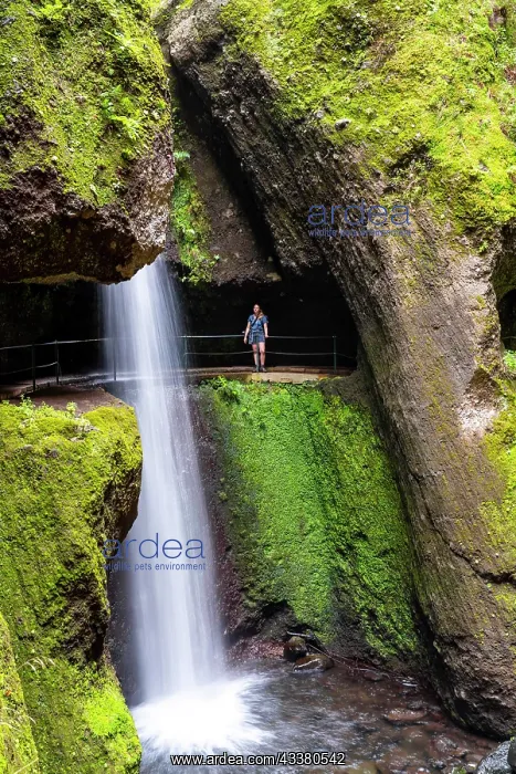 : Hiker at Levada do Moinho, Waterfall in a gorge : Hiker at Levada do Moinho, Waterfall in a gorge
