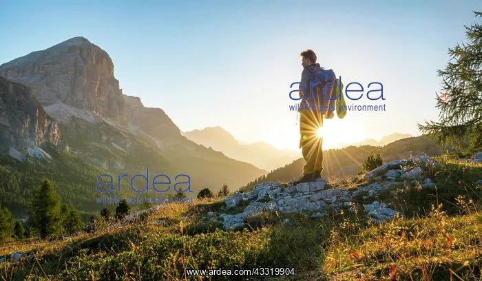 : Hiker looking into the distance, sunrise, solar : Hiker looking into the distance, sunrise, solar