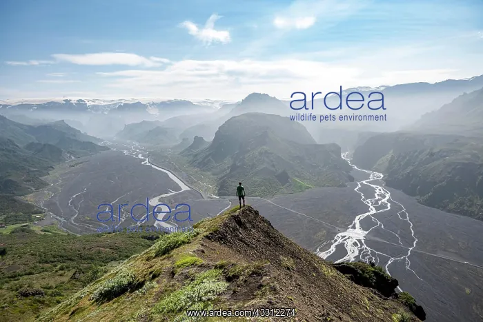 : Hiker in front of mountain landscape, mountains : Hiker in front of mountain landscape, mountains