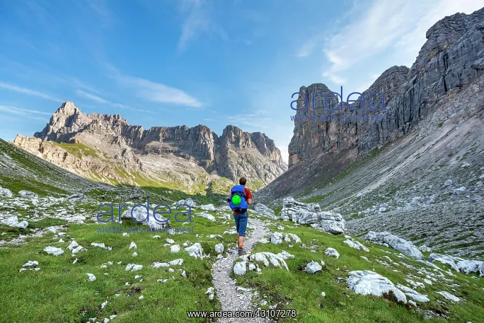: Hiker, mountaineer on a trail between rocky mountains : Hiker, mountaineer on a trail between rocky mountains