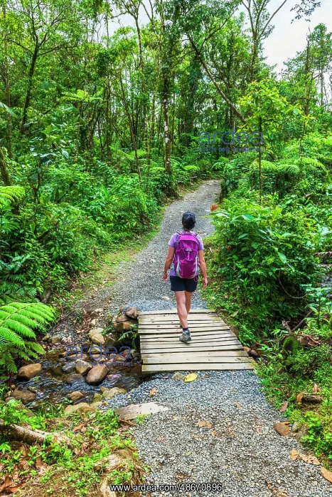  : Hiker on the Rio Celeste trail, Tenorio Volcano National