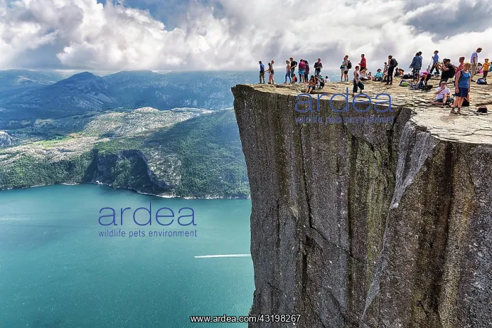 : Hiker on rocky peak Preikestolen, view of Lysefjord : Hiker on rocky peak Preikestolen, view of Lysefjord