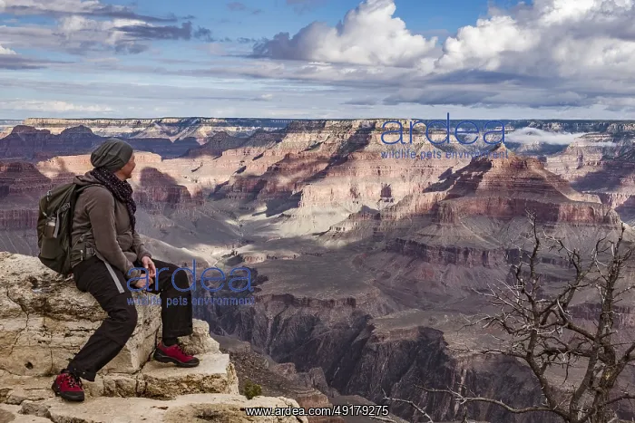 : Hiker sitting on the rim of the Grand Canyon : Hiker sitting on the rim of the Grand Canyon