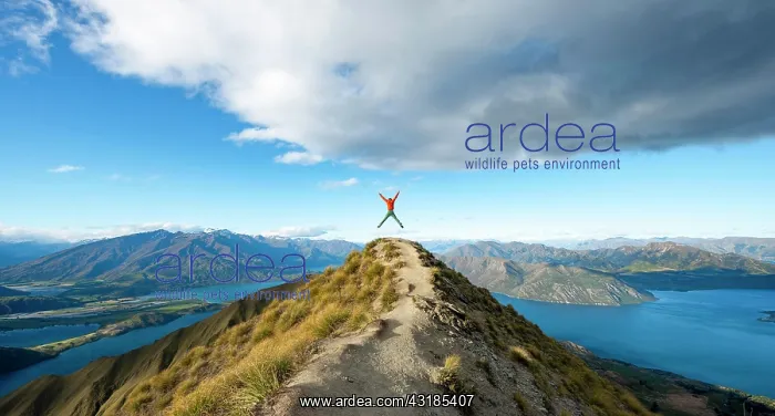  : Hiker takes a skydive, views of mountains and lake