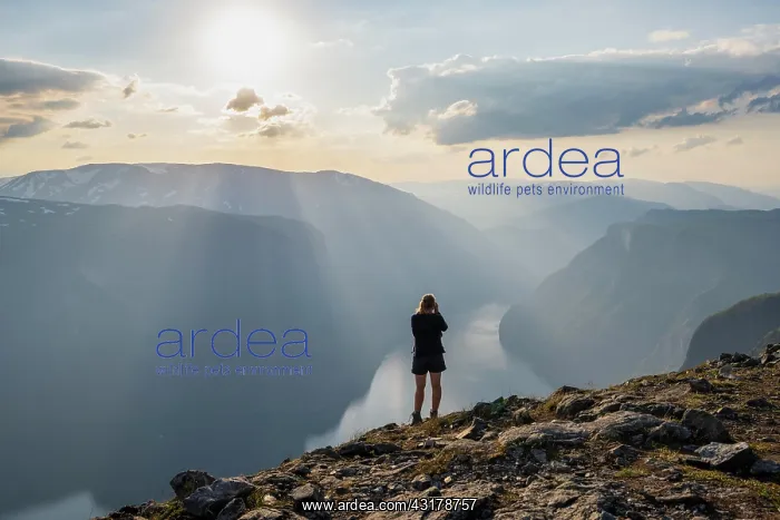 : Hiker taking pictures of fjord landscape, top of : Hiker taking pictures of fjord landscape, top of