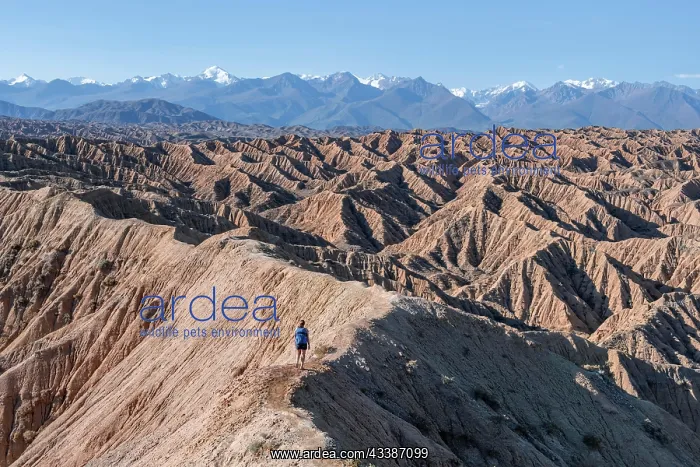 : Hiker walking along a canyon, Tian Shan mountains : Hiker walking along a canyon, Tian Shan mountains