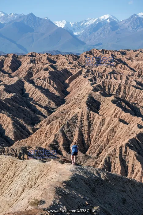 : Hiker walking along a canyon, Tian Shan mountains : Hiker walking along a canyon, Tian Shan mountains