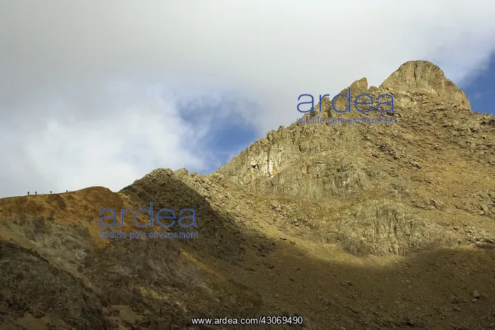 : Hikers Climb Wetterhorn Peak : Hikers Climb Wetterhorn Peak