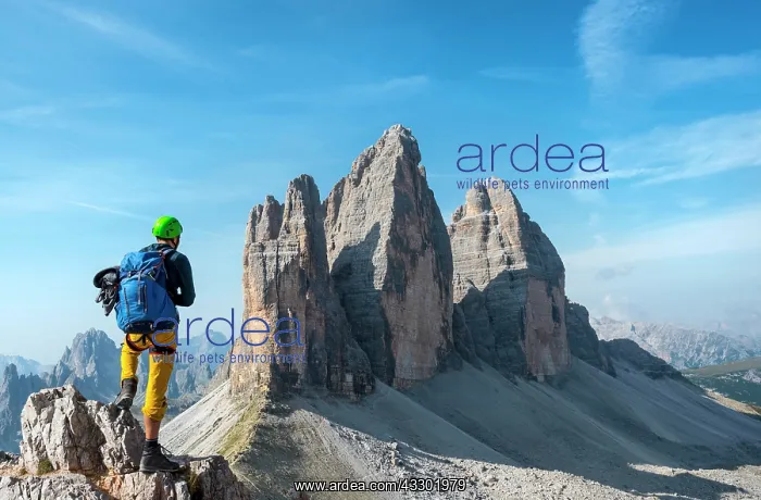 : Hikers on the via ferrata to Paternkofel, Northern : Hikers on the via ferrata to Paternkofel, Northern