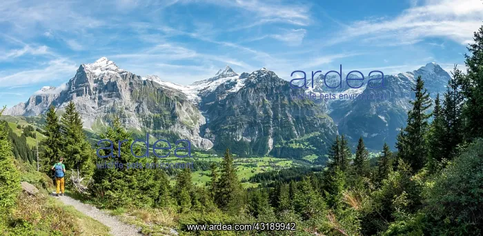 : Hikers on the hiking trail to Bachalpsee, behind : Hikers on the hiking trail to Bachalpsee, behind