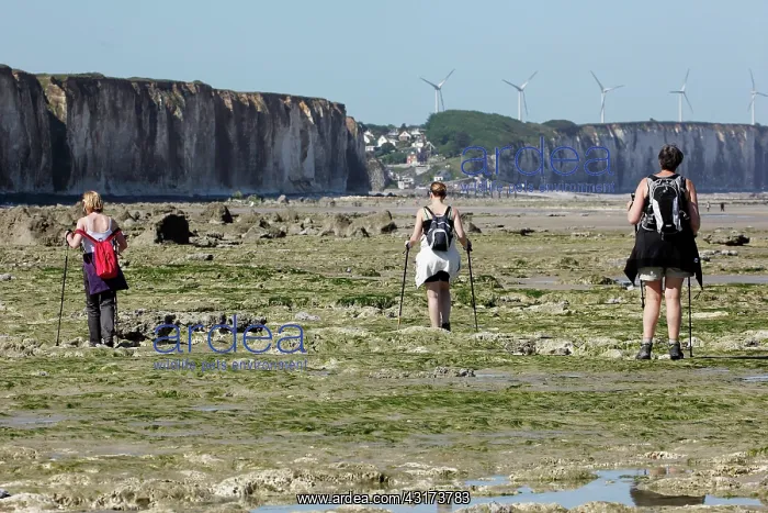 : Hikers at low tide on the beach of Sotteville-sur-Mer : Hikers at low tide on the beach of Sotteville-sur-Mer