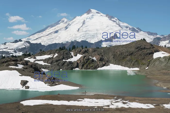 : Hikers relaxing at Goat Lake on Ptarmigan Ridge : Hikers relaxing at Goat Lake on Ptarmigan Ridge