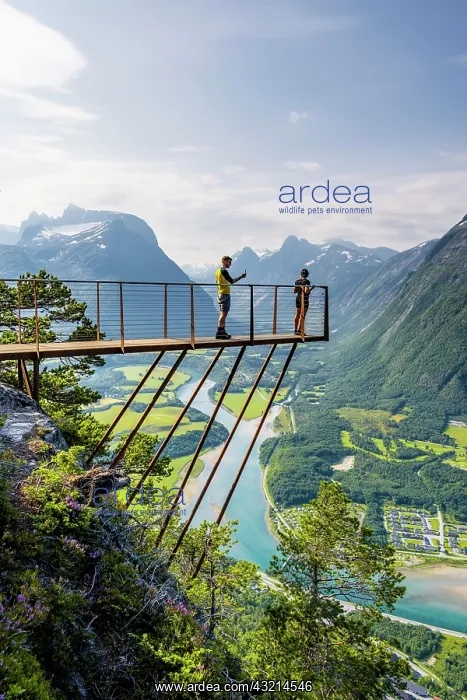 : Hikers standing on viewing platform Rampestreken : Hikers standing on viewing platform Rampestreken