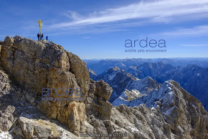: Hikers at the summit with summit cross, Zugspitze : Hikers at the summit with summit cross, Zugspitze