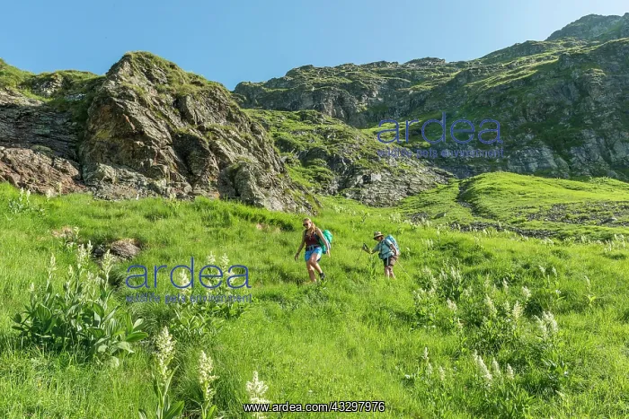  : Two hikers on a trail, Schladming Tauern, Schladming