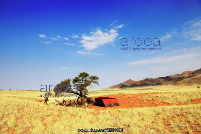 : Hikers, trekkers on the Tok Tokie Trail, Namib Rand : Hikers, trekkers on the Tok Tokie Trail, Namib Rand