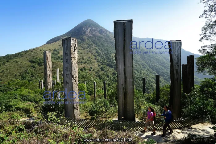 : Hikers in front of wooden stelae at Wisdom Path : Hikers in front of wooden stelae at Wisdom Path