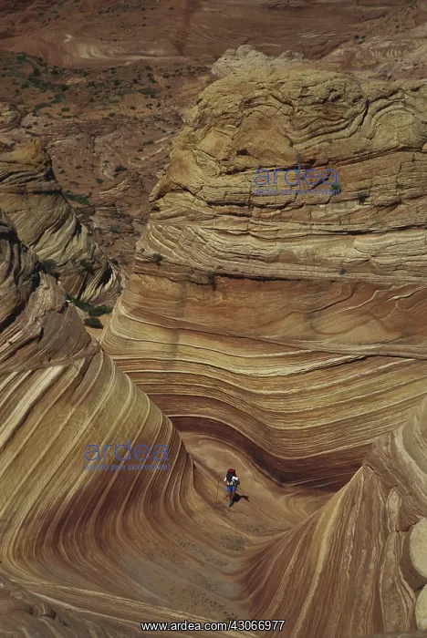 : Hiking in Arizona : Hiking in Arizona