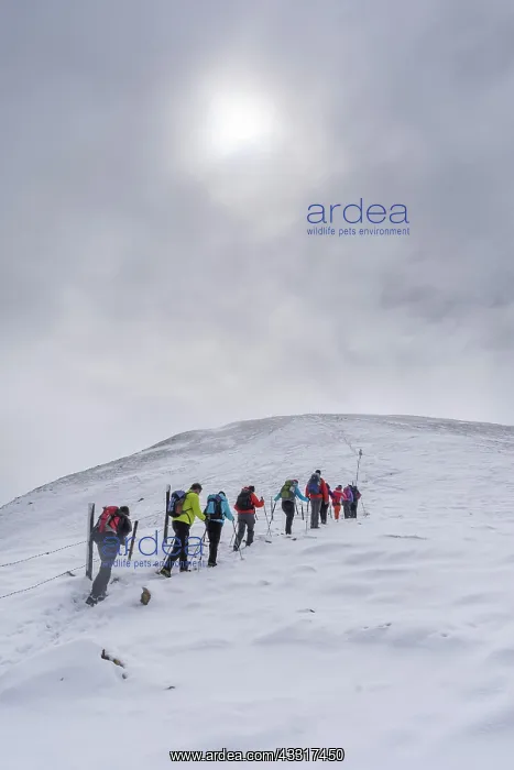: Hiking group ascending to the little K&, x1aea67;stuhl : Hiking group ascending to the little K&, x1aea67;stuhl