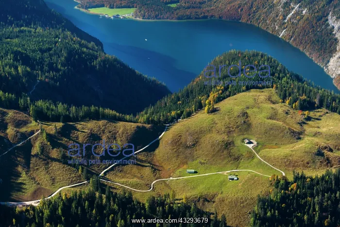 : Hiking trail and alpine pastures at Jenner, Konigssee : Hiking trail and alpine pastures at Jenner, Konigssee