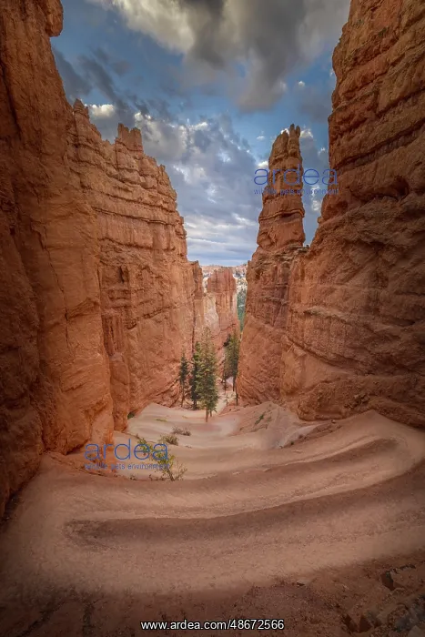 : Hiking trail into Bryce Canyon, Bryce Canyon National Park : Hiking trail into Bryce Canyon, Bryce Canyon National Park